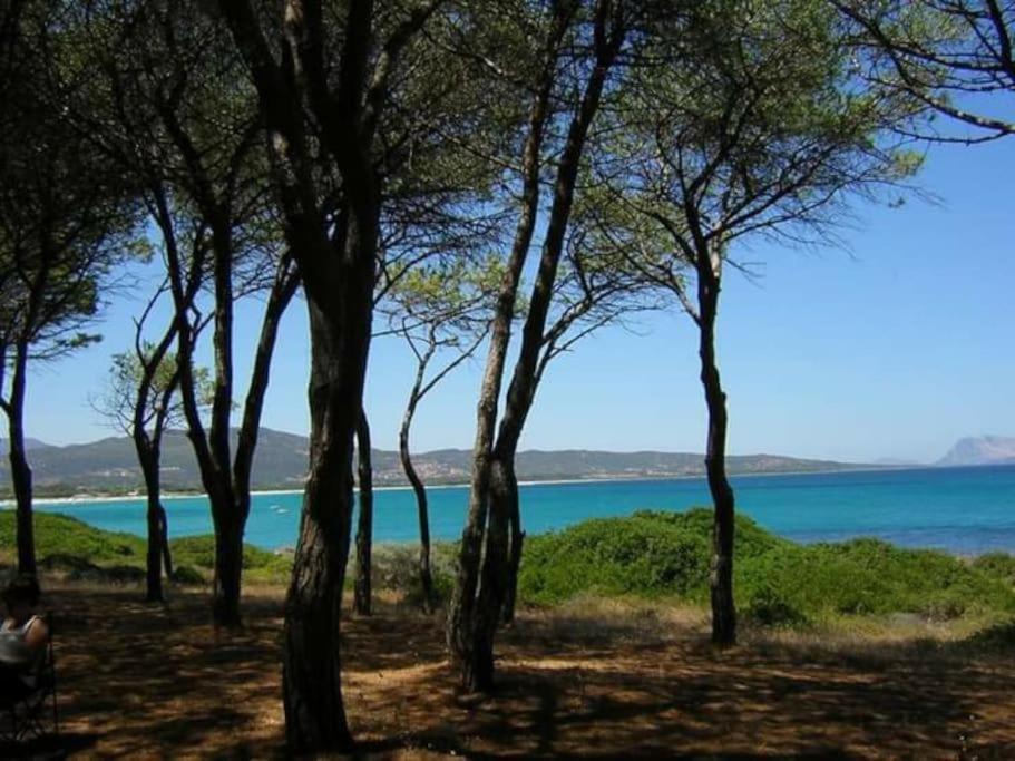 Villa A 200 Metri Dalla Spiaggia Budoni Extérieur photo